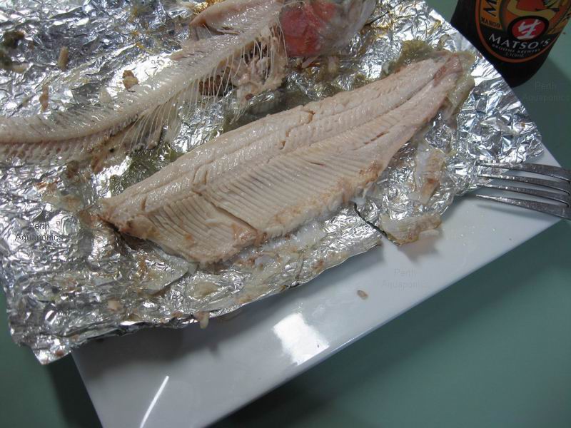 Perth Aquaponics - Trout Dinner & Mango Beer.jpg