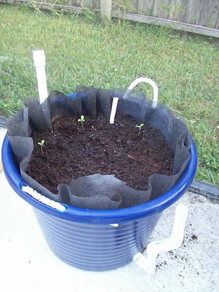 party bucket wicking bed.jpg