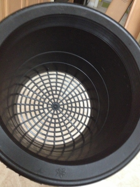 bucket wicking bed.jpg