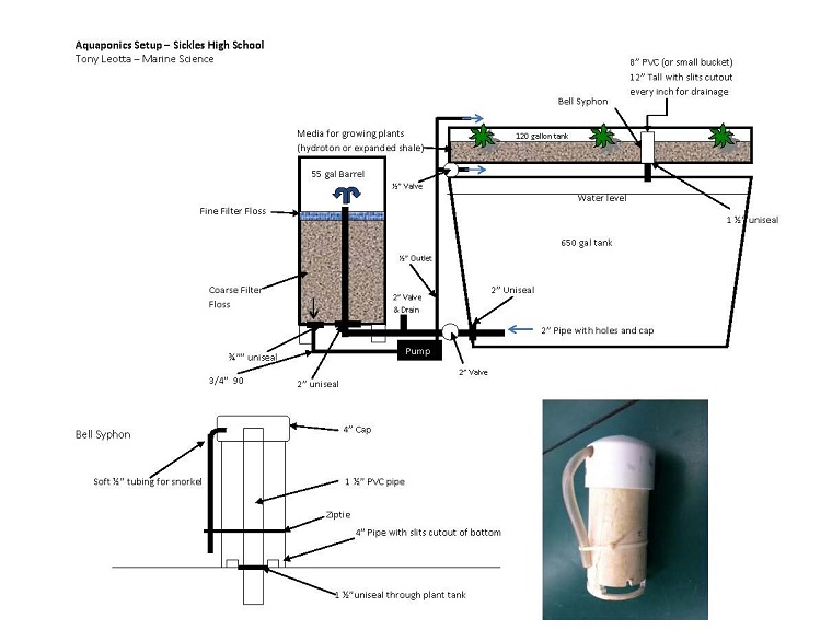 650 gal Tank setup_sm.jpg