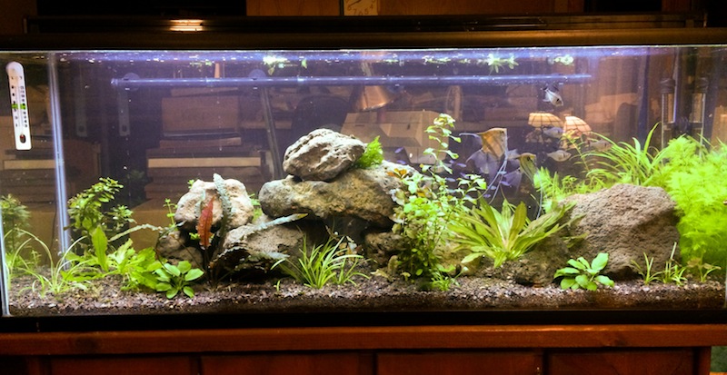 2013-10-28 20.07.52-1.jpg