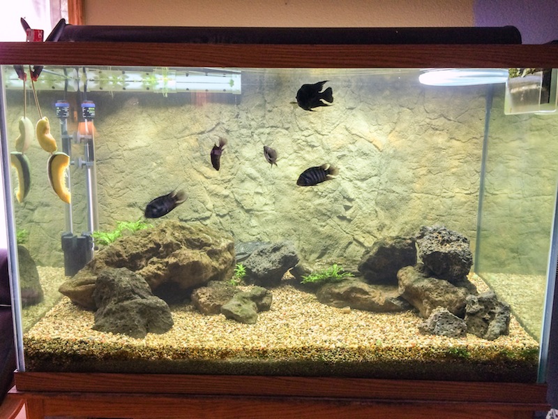 2013-10-30 13.34.12.jpg