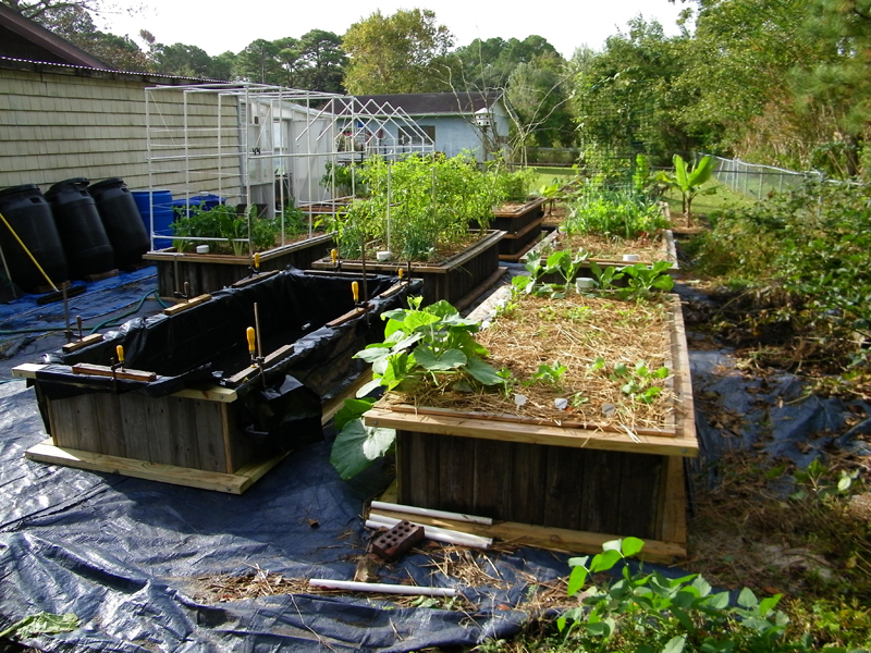 8th wicking bed plastic in place.jpg