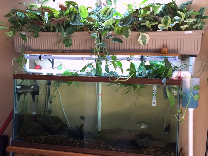 2013-11-01 14.02.59.jpg