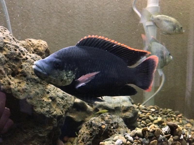 2013-11-01 19.48.27.jpg