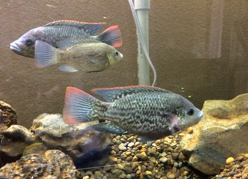 2013-11-01 19.56.08.jpg