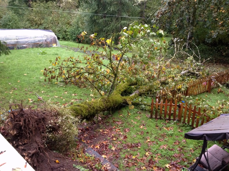 2013-09-30 07.44.28.jpg