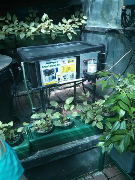 IMG_20131019_105232 (Medium).jpg