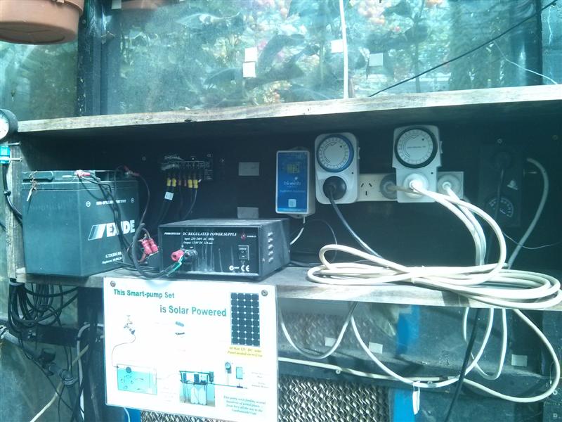 IMG_20131019_105241 (Medium).jpg