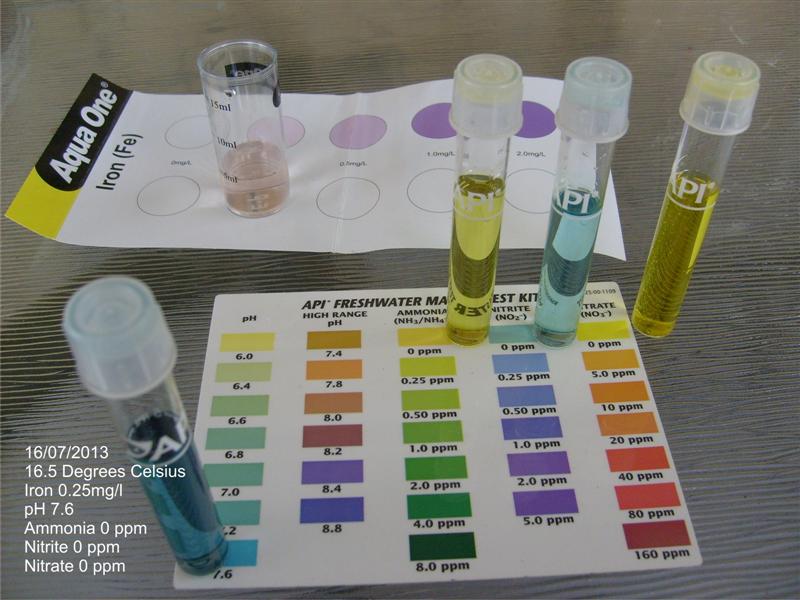 16-07-2013 Test (Medium).jpg