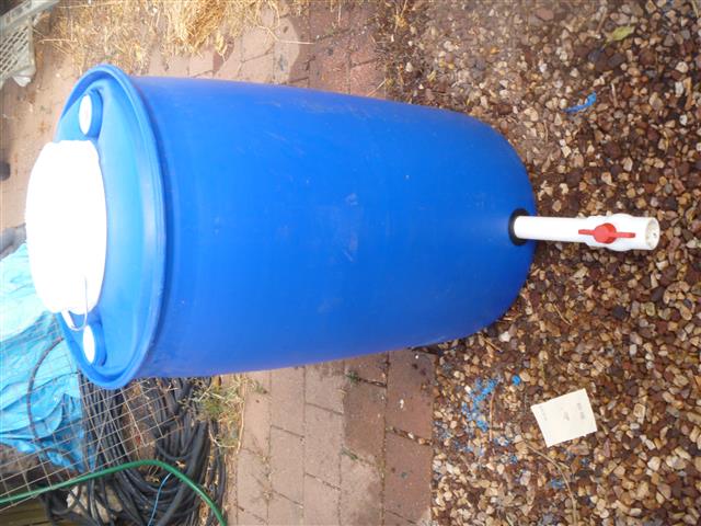 P1010215 (Small).JPG