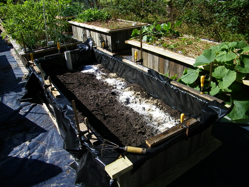 8th wicking bed soil going in.jpg