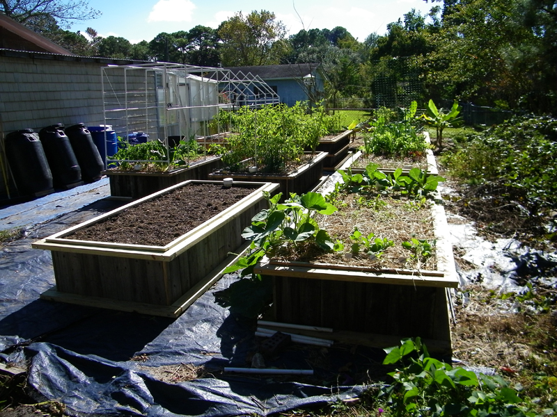 8th wicking bed all 8 beds 1.jpg