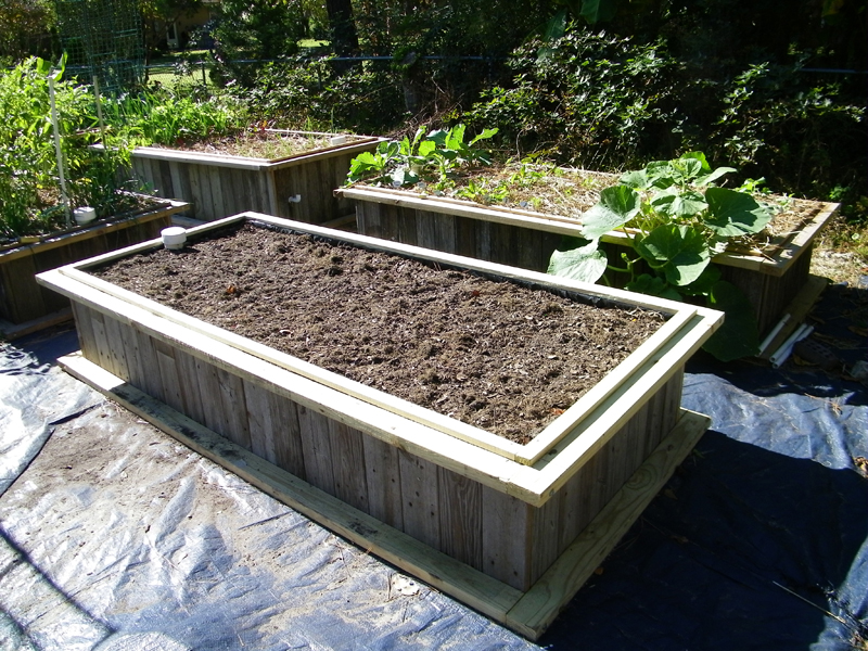 8th wicking finished ready to plant out.jpg