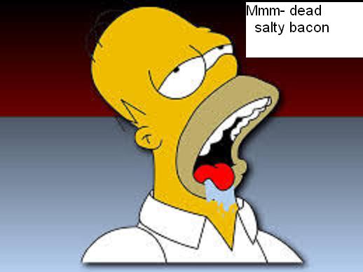 homer.jpeg