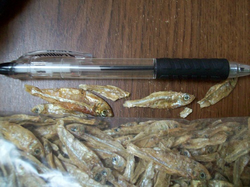 dried fish.jpg