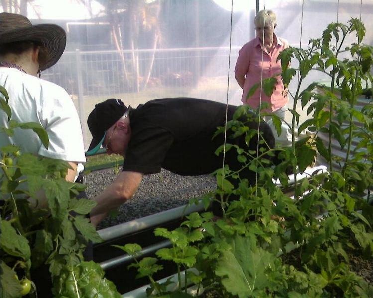 there really are some plants in here.jpg