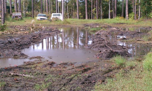 IMAG0034 reduced.jpg