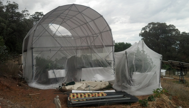 Greenhouse20131110.jpg
