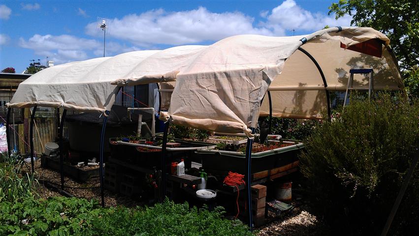 IMAG0059 (Small).jpg