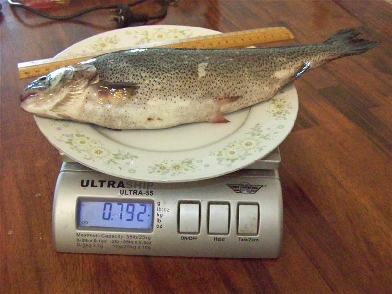 100_7665 (Custom).JPG