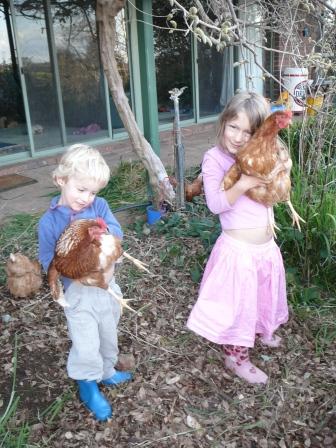 chooks, goats cows yee ha.jpg