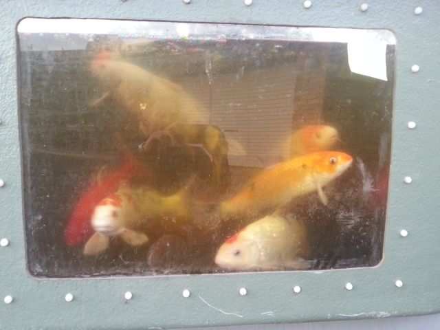 2013-11-02 06.13.56LR.jpg