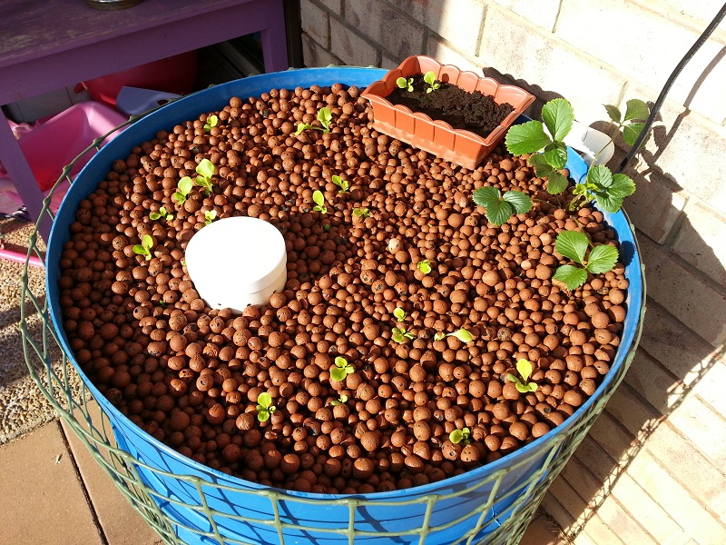 20131111_064223 - Copy.jpg