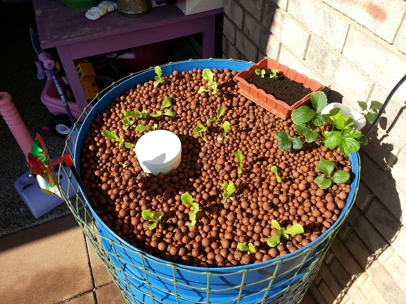 20131118_073832 - Copy.jpg