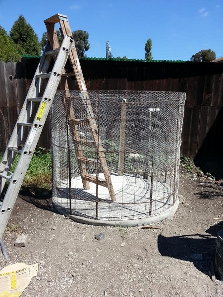 1150901_547110141122_60375299_n (450x600).jpg