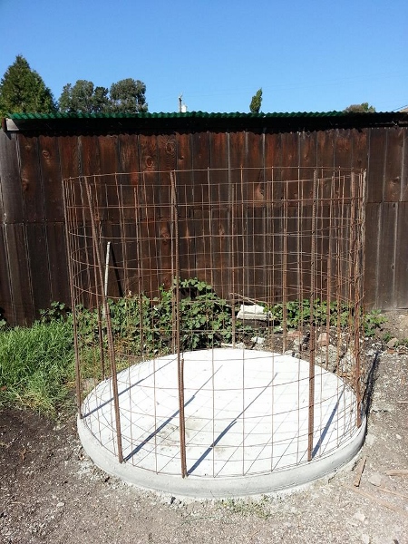 1174665_546738620652_1551837026_n (450x600).jpg