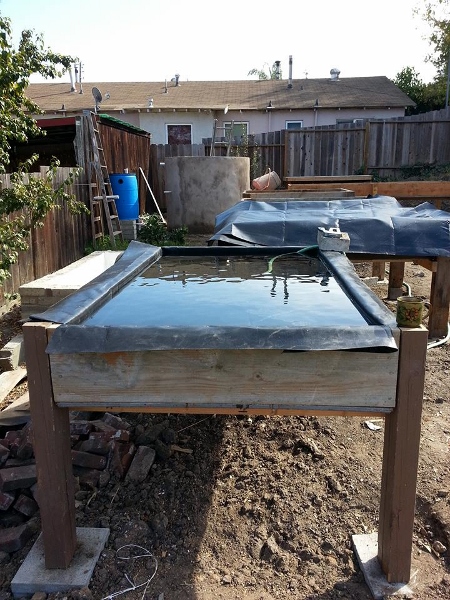 1379466_549913138892_1819553847_n (450x600).jpg