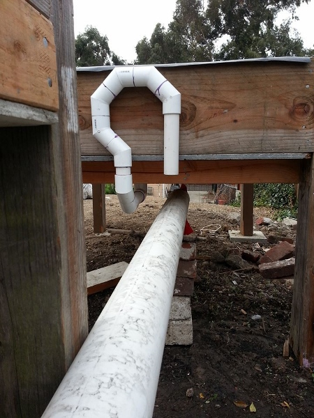 1425757_551398621972_1603850130_n (450x600).jpg