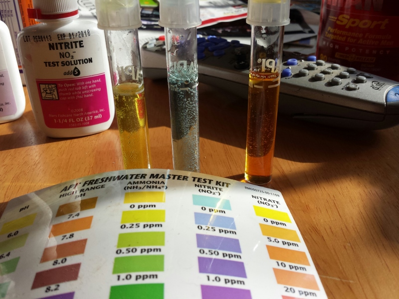 NitRateTest11192013 (800x600).jpg