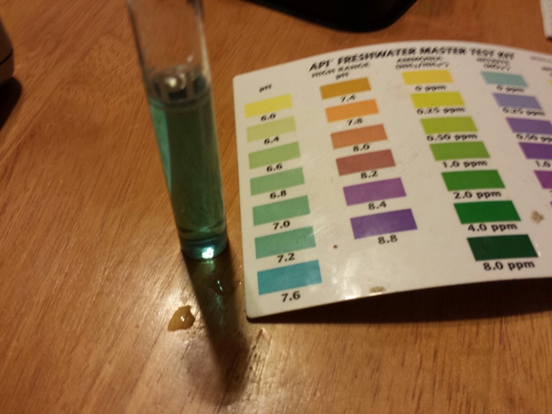 PH Testing 11192013. (800x600).jpg