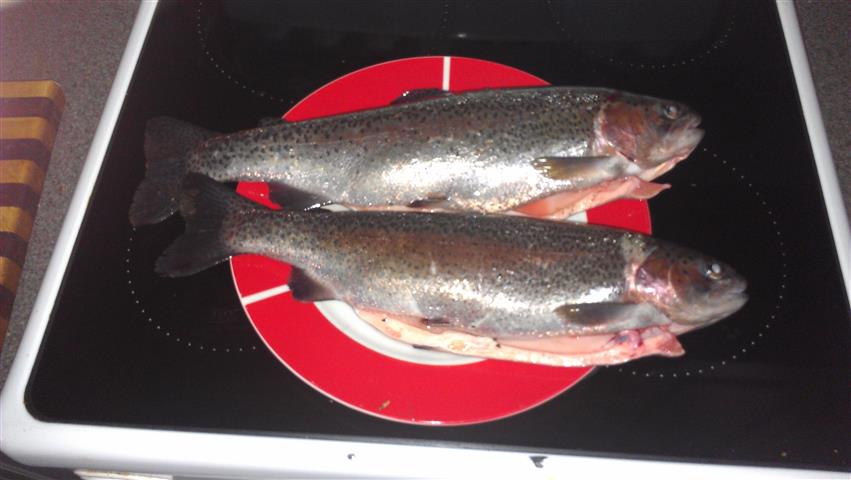 IMAG0090 (Small).jpg