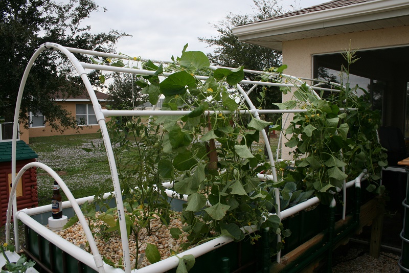 IMG_7465 800x600.jpg