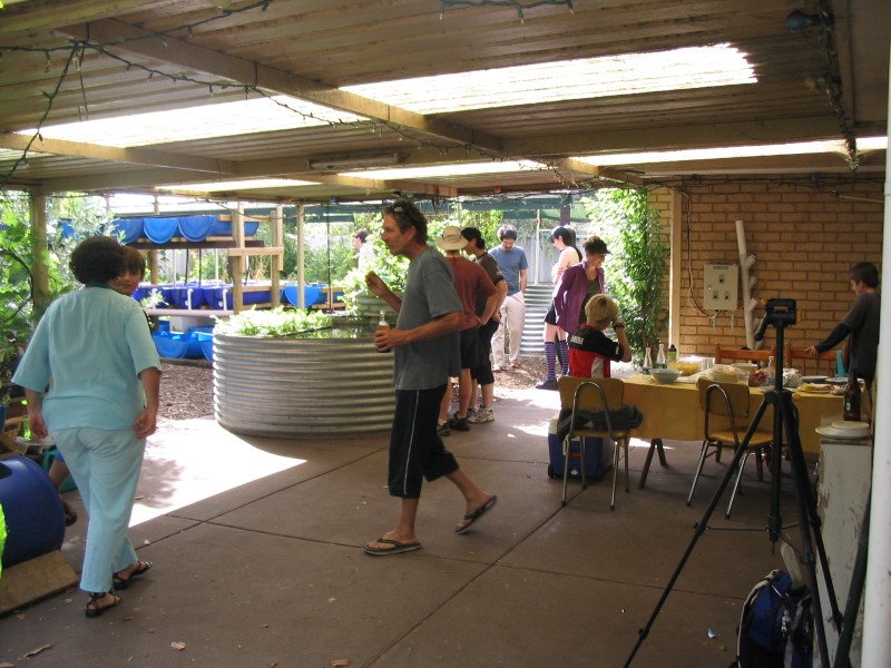 IMG_1966 (Custom).jpg