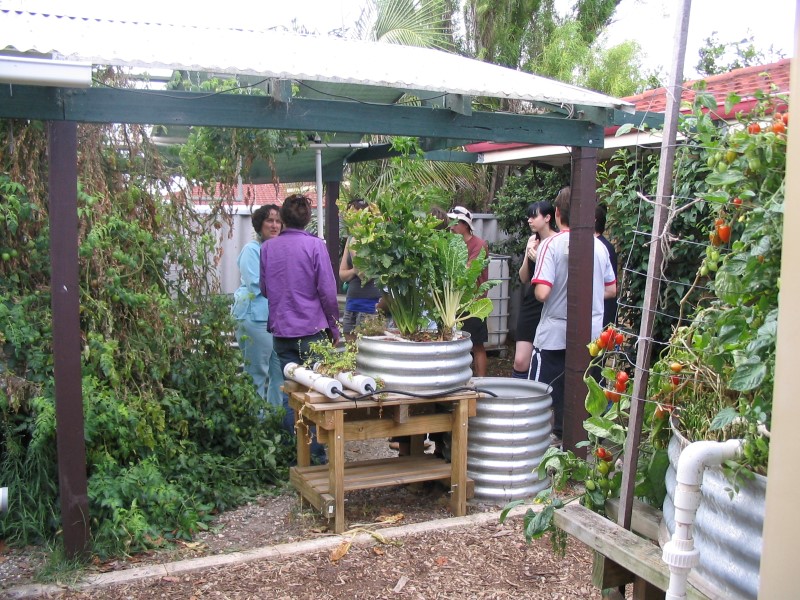 IMG_1969 (Custom).jpg