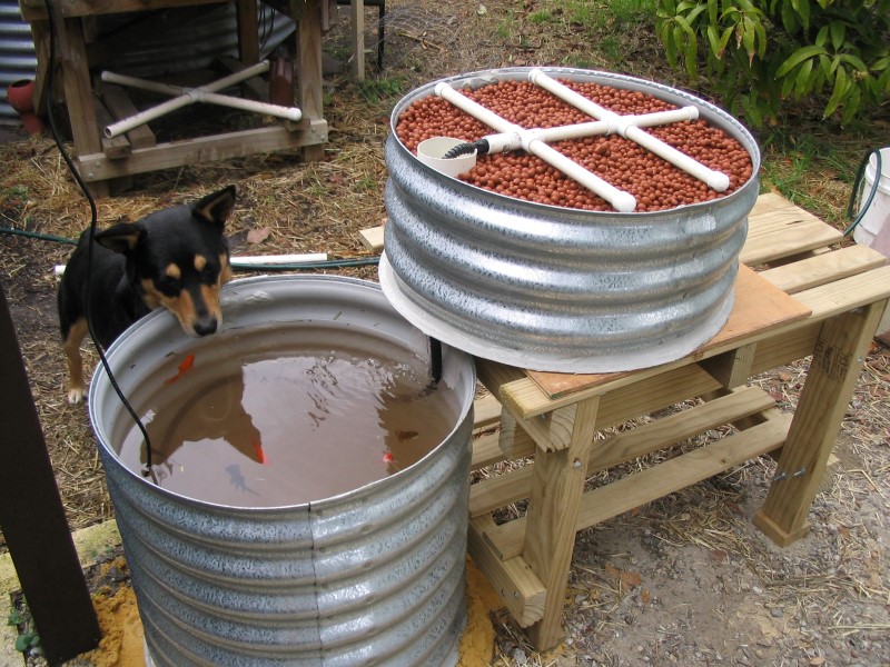 IMG_1472 (Custom).jpg