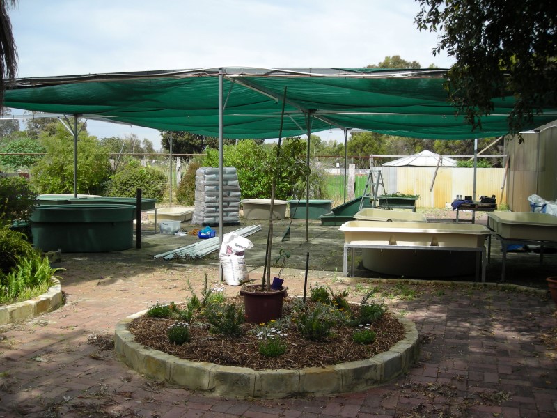 DSCN0005 (Custom).JPG