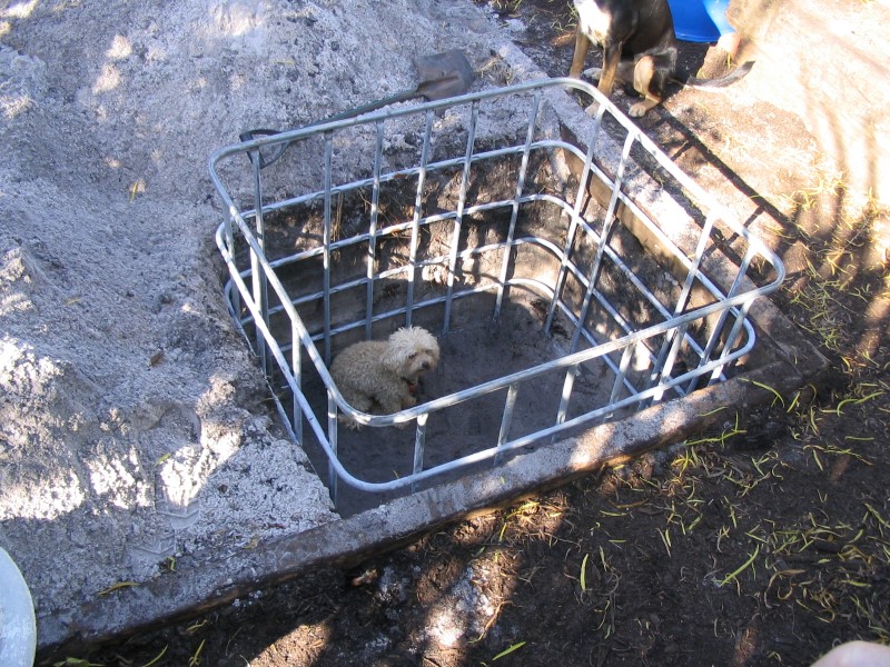 IMG_1651 (Custom).jpg