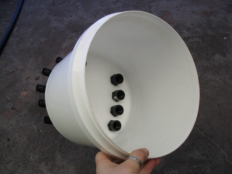 IMG_1687 (Custom).jpg