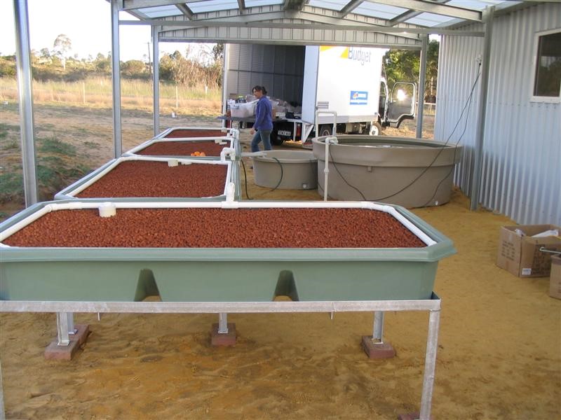 IMG_2294 (Medium) (Custom).jpg