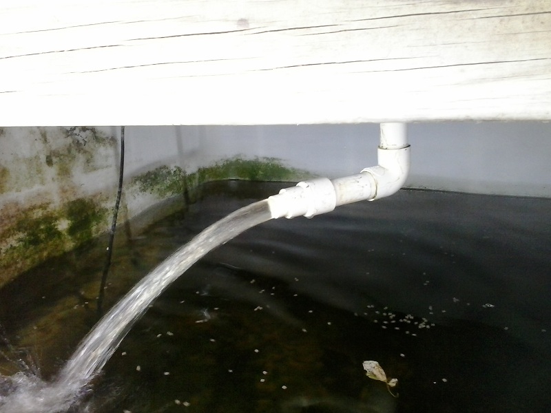 2013-11-28 07.21.00.jpg