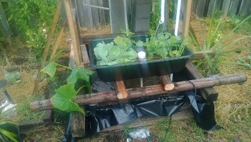 WP_20131116_002 (500x282).jpg