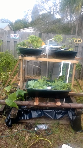 WP_20131116_001 (282x500).jpg