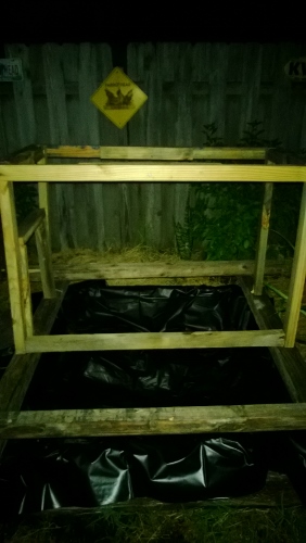 WP_20131114_005 (282x500).jpg