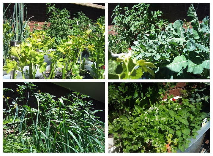 Comp One 30.11.13.jpg