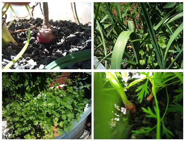 Comp Two 30.11.13.jpg